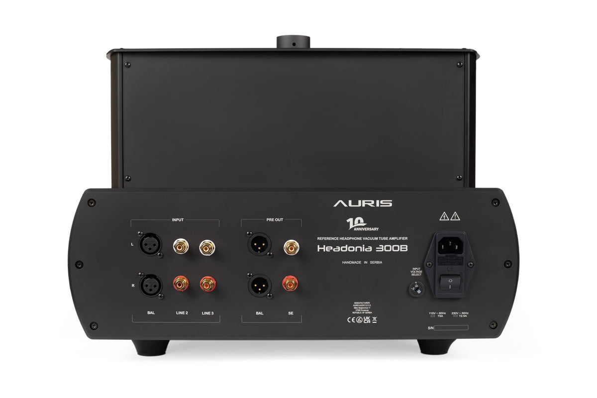 300b headphone amp sale