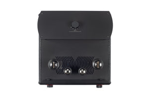 Auris Audio Headonia 300B